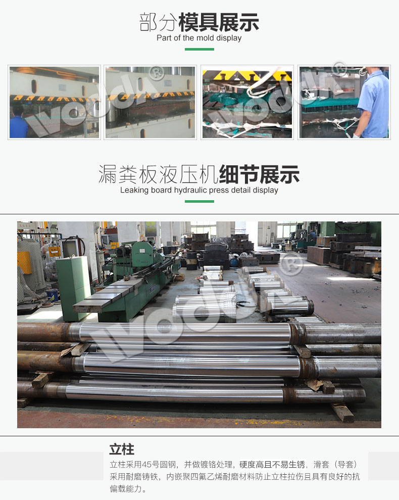 漏(lòu)糞闆液壓機模具(ju)展示